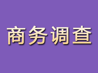 二连浩特商务调查